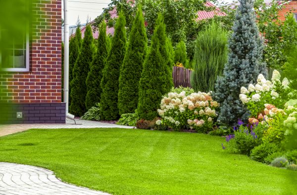 Spring Landscaping in Boca Raton