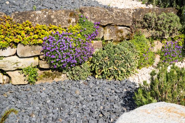 Landscaping Rocks Installation in Boca Raton