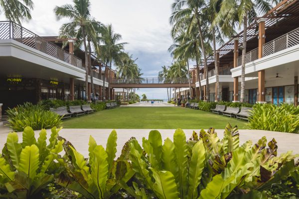 Commercial Lawn Renovation in Boca Raton