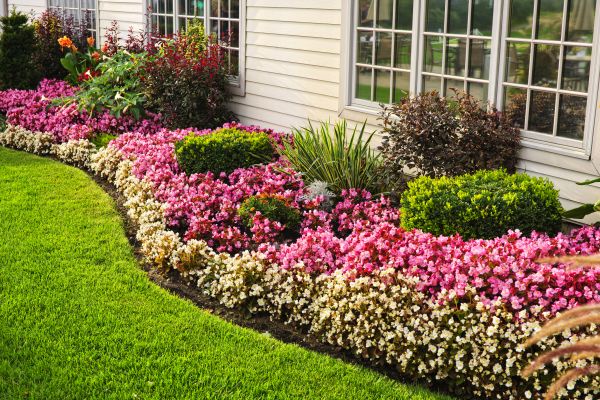 Garden Landscape Design in Boca Raton