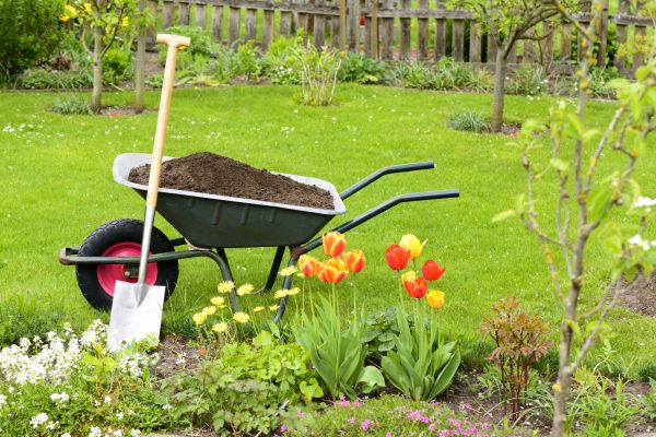 Spring Yard Renovation in Boca Raton
