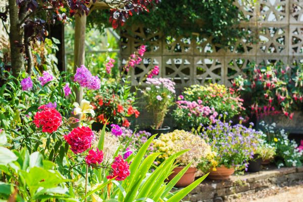 Spring Garden Maintenance in Boca Raton