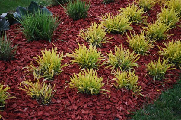 Red Mulch Installation in Boca Raton