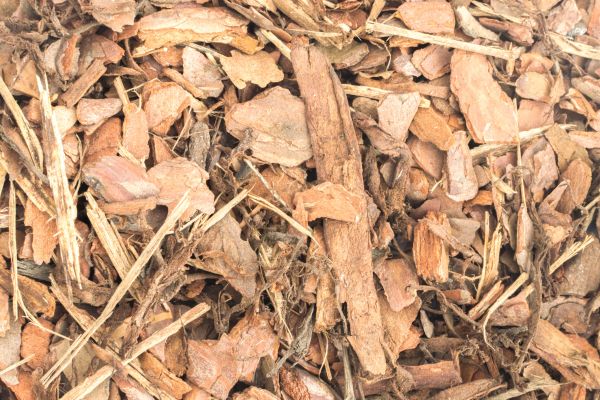 Bark Mulch Installation in Boca Raton