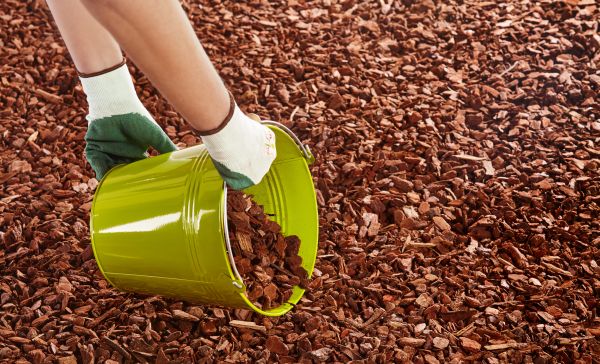 Wood Chip Landscaping in Boca Raton