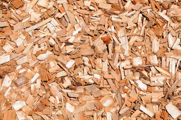 Cypress Mulch Spreading in Boca Raton