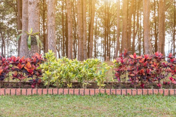 Small Garden Landscaping in Boca Raton