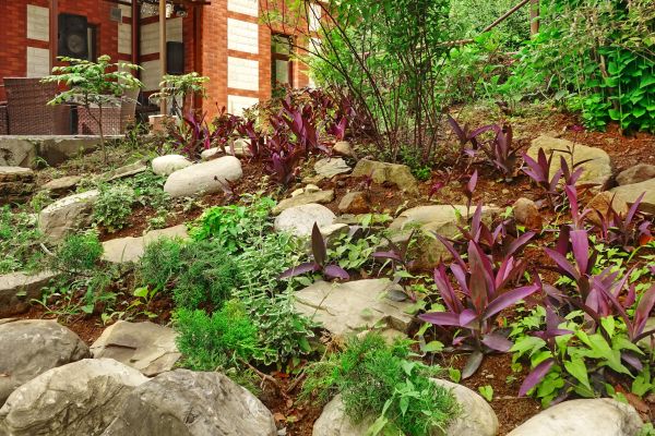Rock Garden Landscaping in Boca Raton