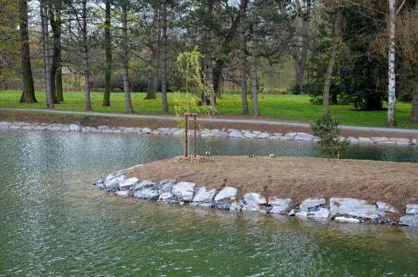 Pond Landscaping Service in Boca Raton