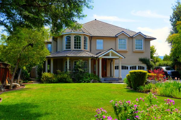 Large Yard Landscaping in Boca Raton