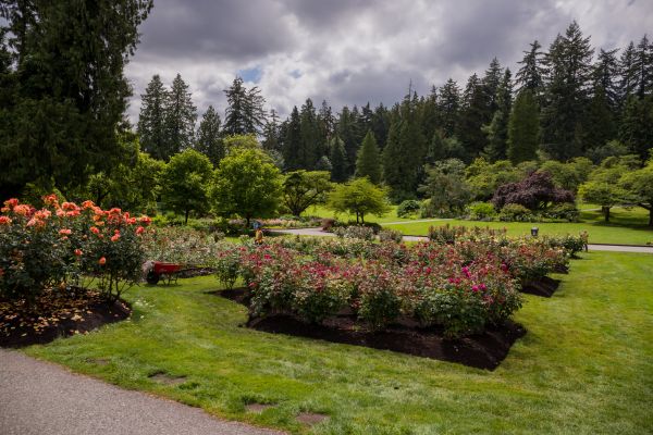 Flower Garden Landscaping in Boca Raton