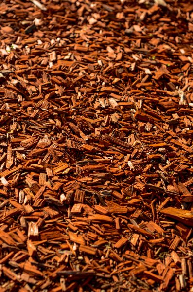 Cedar Mulch Spreading in Boca Raton