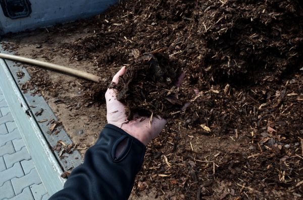 Condo Mulching in Boca Raton