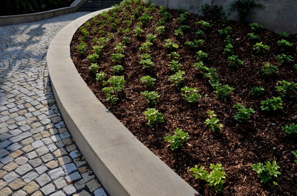 Commercial Mulching in Boca Raton