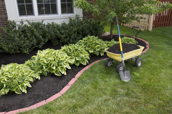 Mulch Installation in Boca Raton