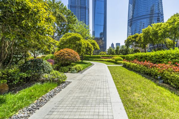 Commercial Landscaping in Boca Raton